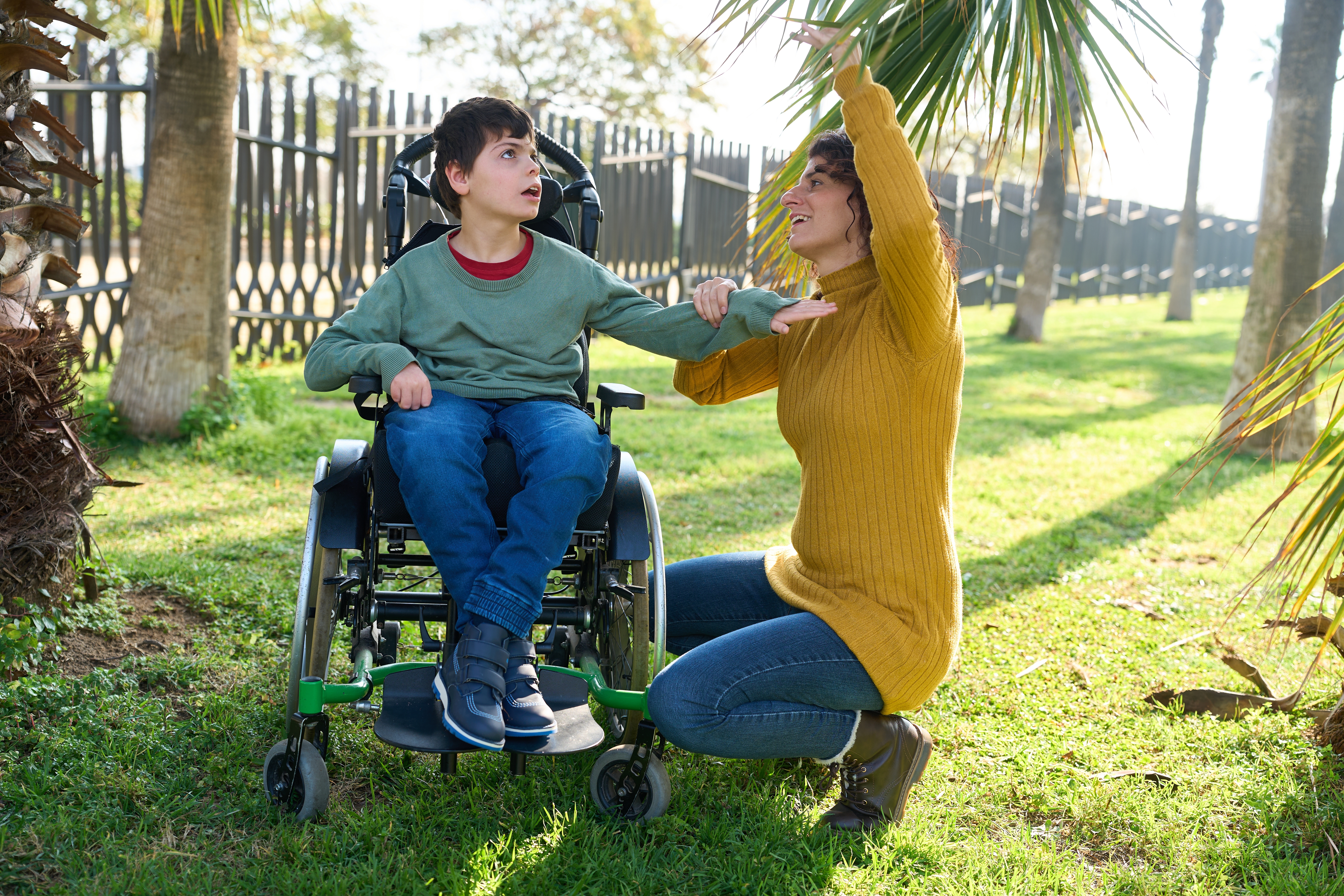 California State Disability